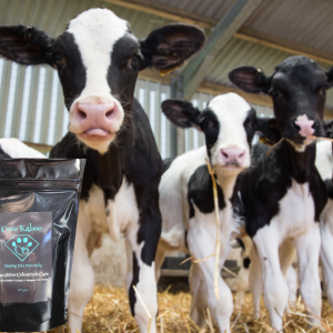Pawsitive Colostrum Care